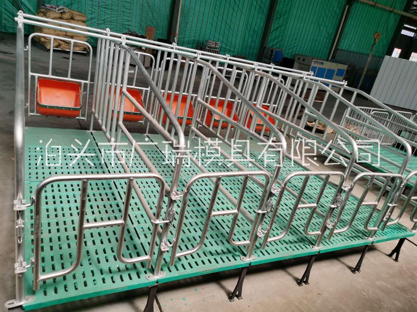 母豬定位欄圖片/母豬定位欄樣板圖 (1)