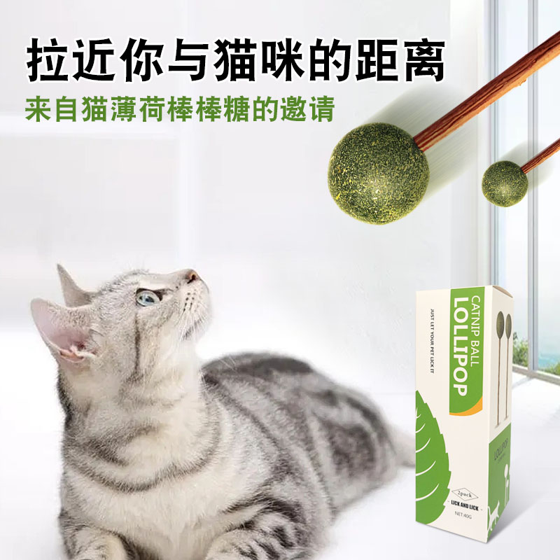 貓薄荷圖片/貓薄荷樣板圖 (3)