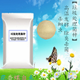 垃圾處理菌種200億 高溫菌劑發(fā)酵菌 發(fā)酵垃圾