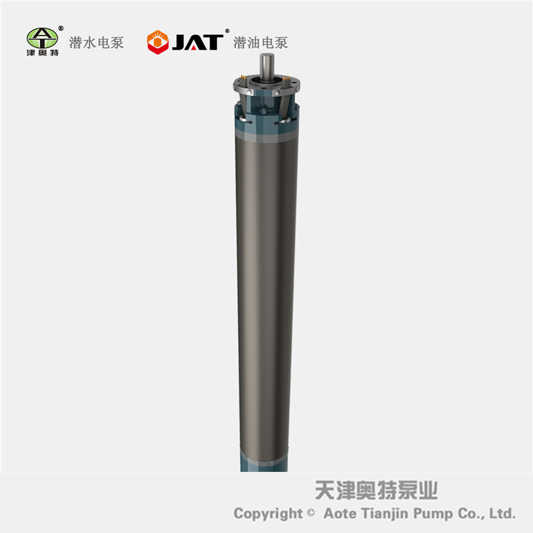 潛水電機(jī)圖片/潛水電機(jī)樣板圖 (3)