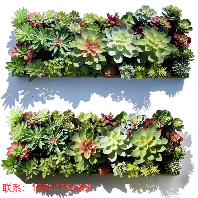人造多肉植物