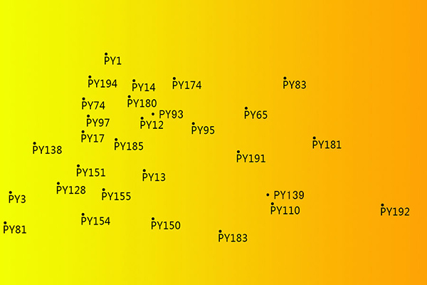 聯(lián)苯胺黃12圖片/聯(lián)苯胺黃12樣板圖 (1)