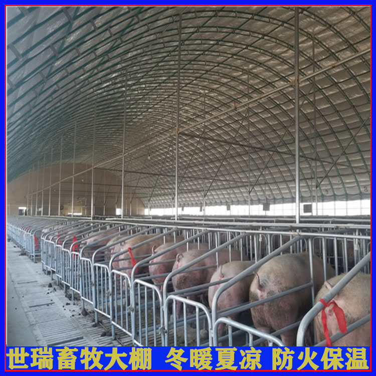 豬棚圖片/豬棚樣板圖 (2)