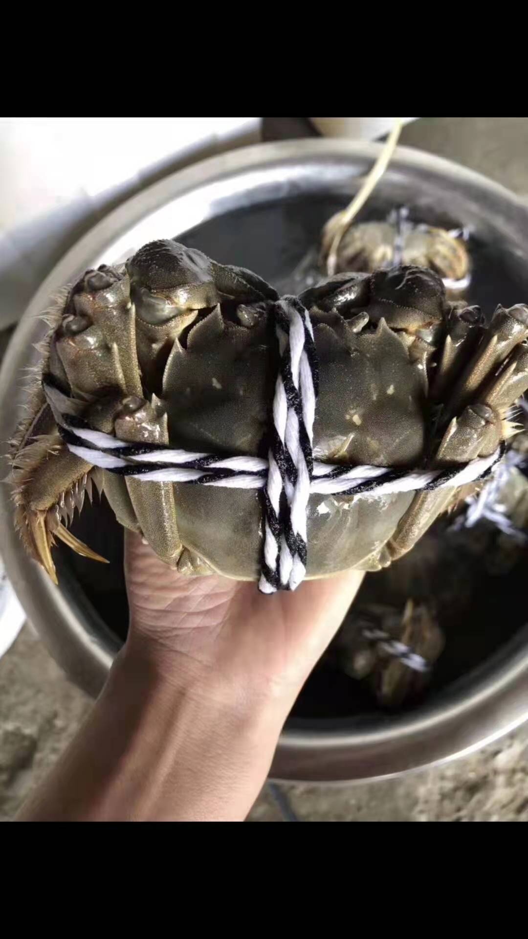 2688型大閘蟹禮盒圖片