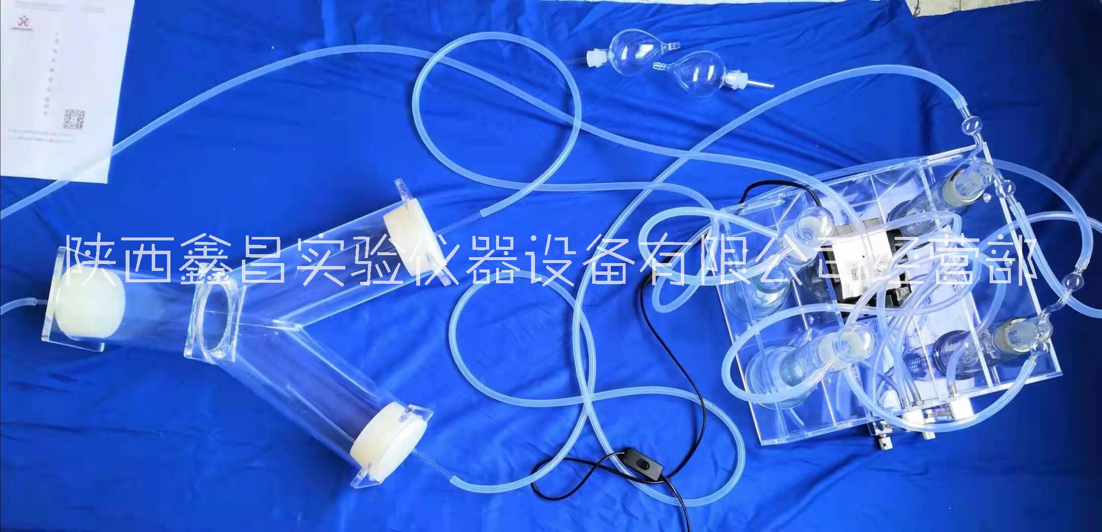 Y型嗅覺儀廠市場批發(fā)  Y型嗅覺儀批發(fā)價(jià)格