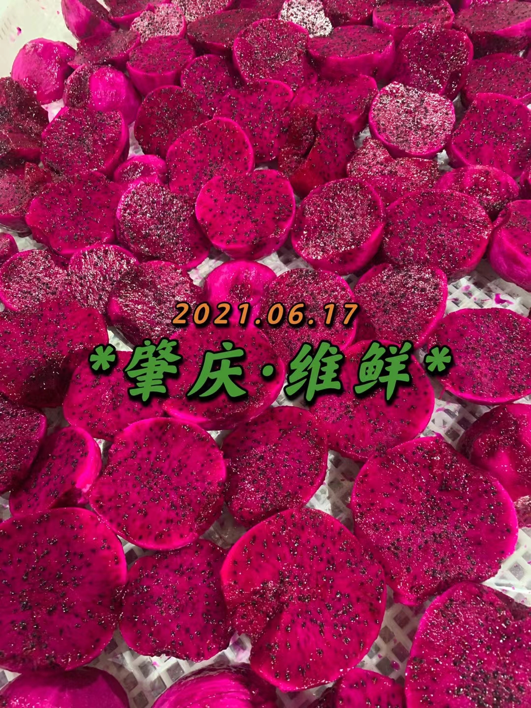 速凍紅芯火龍果圖片/速凍紅芯火龍果樣板圖 (2)
