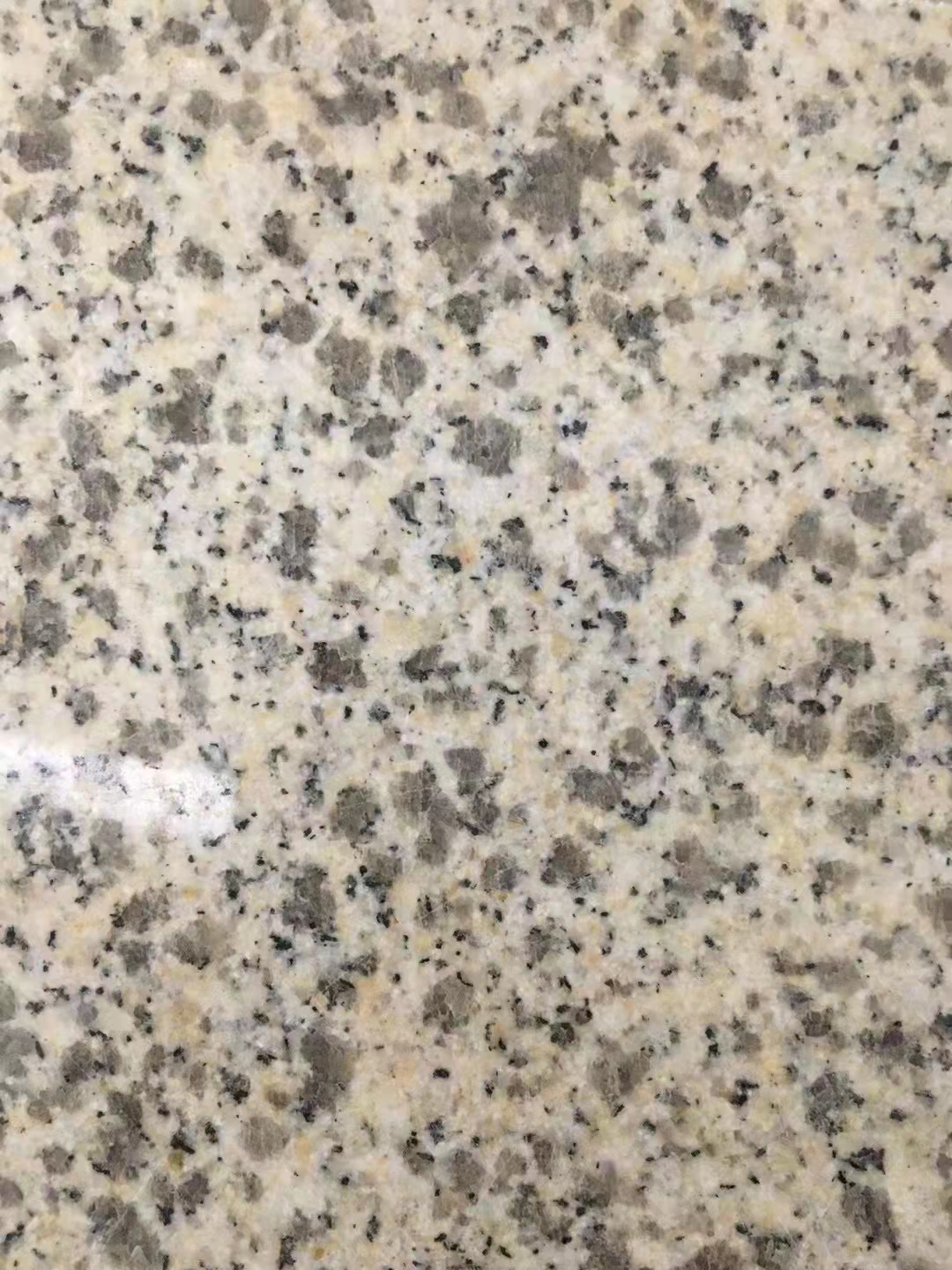 金麻花崗巖圖片/金麻花崗巖樣板圖 (3)