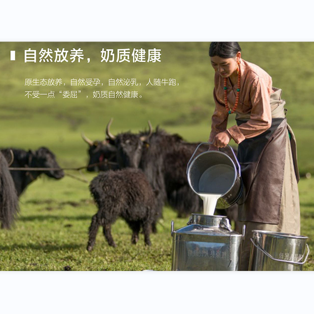 純牦牛奶粉貼牌代加工哪家比較好