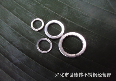 304不銹鋼彈簧墊圈圖片/304不銹鋼彈簧墊圈樣板圖 (4)