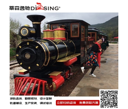 網(wǎng)紅小火車圖片/網(wǎng)紅小火車樣板圖 (3)