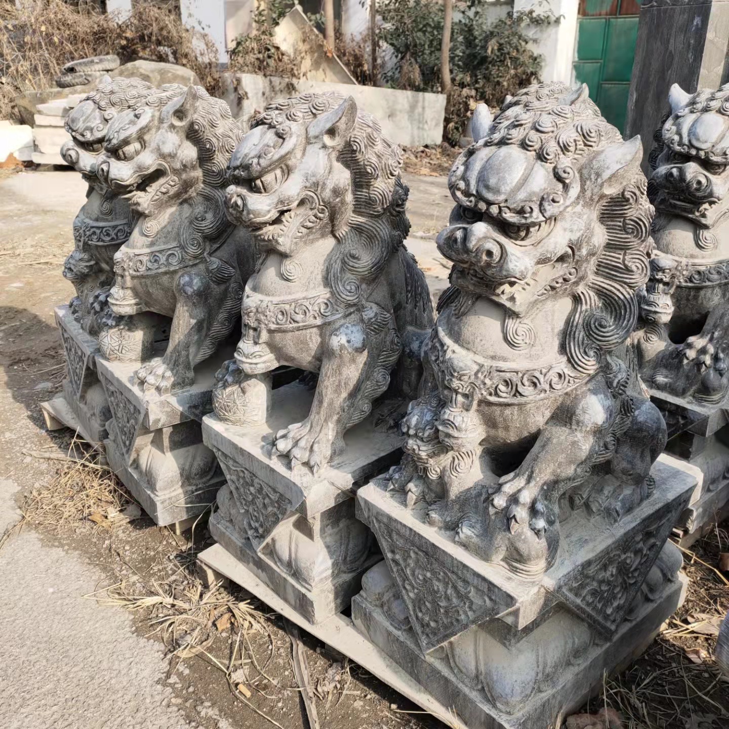 石獅子雕刻圖片/石獅子雕刻樣板圖 (2)