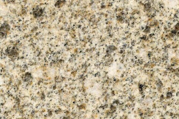 卡基諾金圖片/卡基諾金樣板圖 (2)