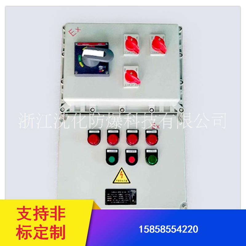 水泥厂粉尘防爆控制箱 非标定制防爆箱 防爆配电箱图片