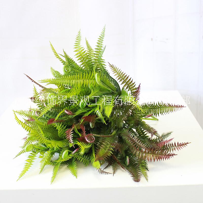 仿真植物圖片/仿真植物樣板圖 (3)