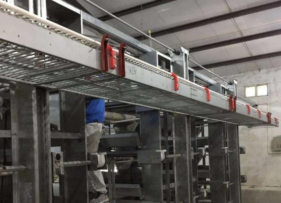 蛋雞籠圖片/蛋雞籠樣板圖 (3)