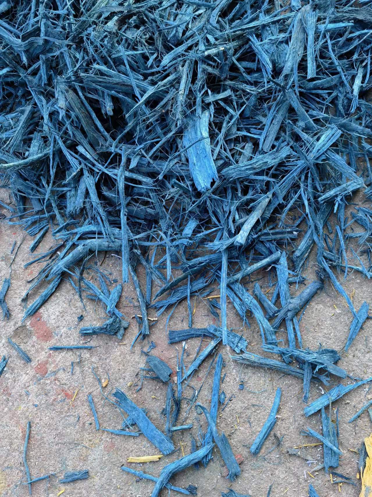 公園美化彩色樹皮圖片/公園美化彩色樹皮樣板圖 (1)