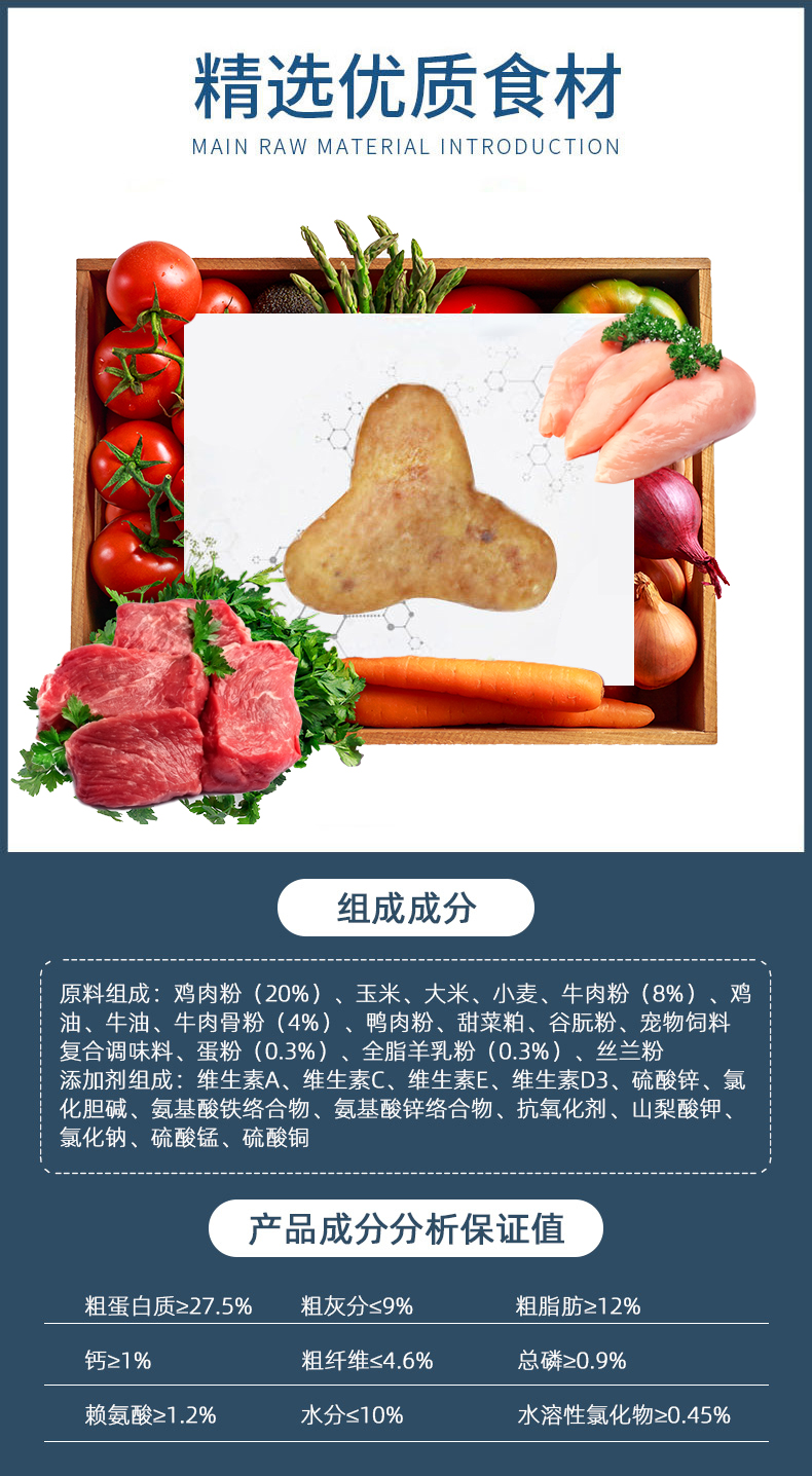 大白熊犬圖片/大白熊犬樣板圖 (1)