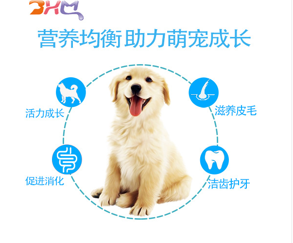 大白熊犬圖片/大白熊犬樣板圖 (3)