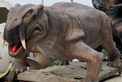 仿真動物圖片/仿真動物樣板圖 (3)