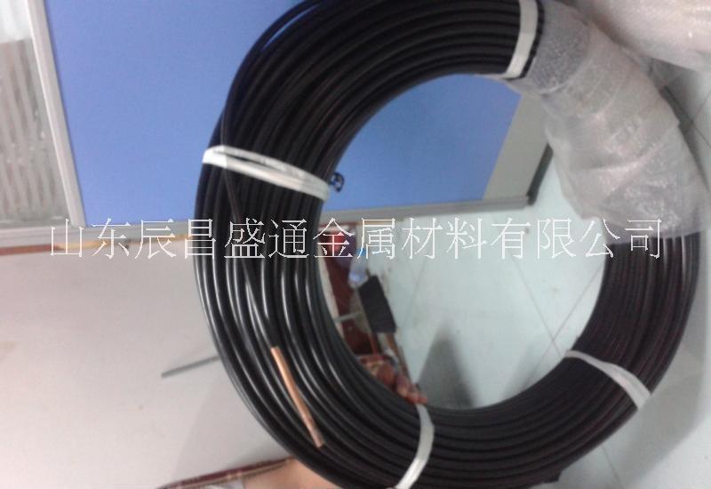 紫銅管8圖片/紫銅管8樣板圖 (3)