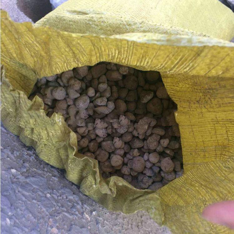 建筑頁巖陶粒圖片/建筑頁巖陶粒樣板圖 (2)