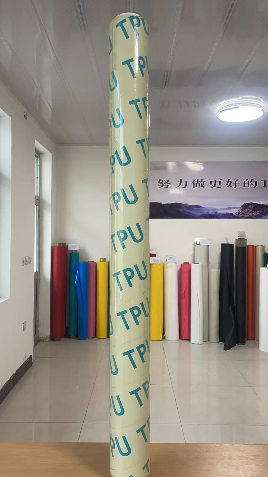 金龍薄膜圖片/金龍薄膜樣板圖 (2)