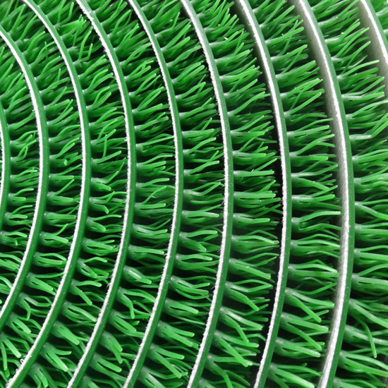 粘金草圖片/粘金草樣板圖 (2)