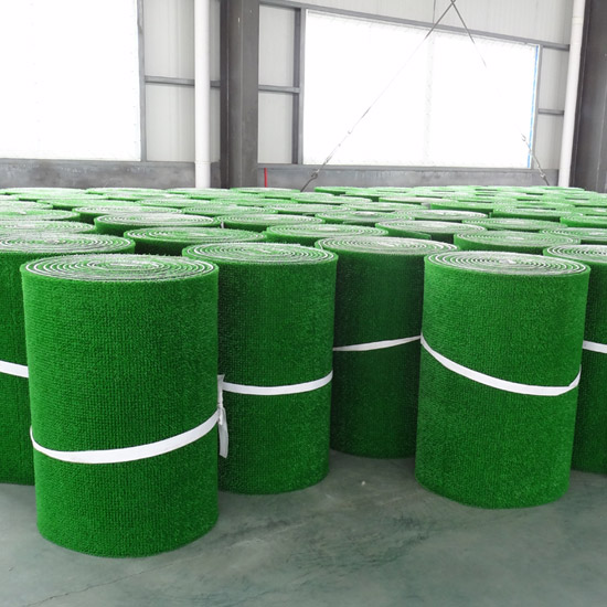 淘金草圖片/淘金草樣板圖 (2)