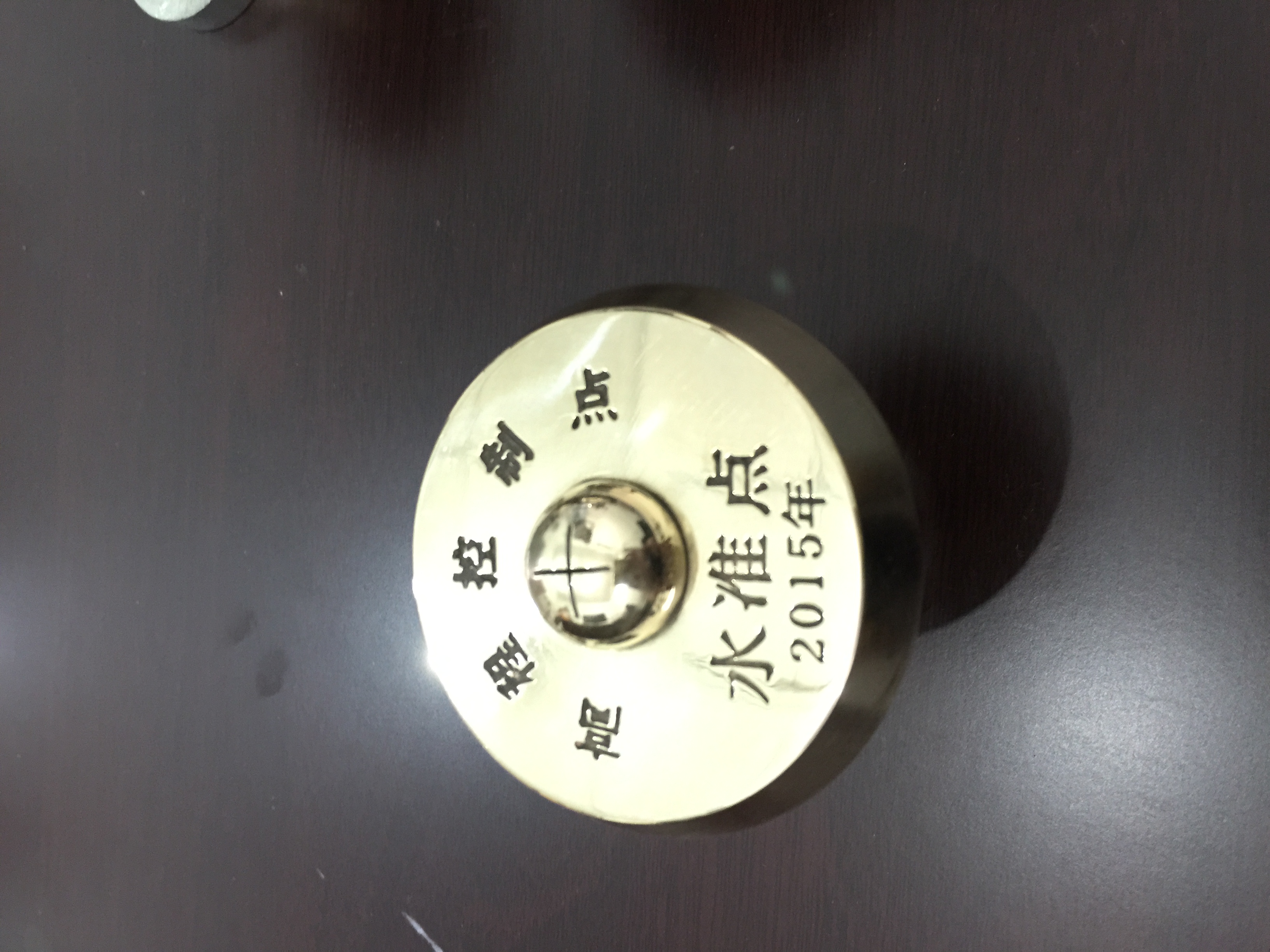 銅質(zhì)水準點不銹鋼水準點標識圖片/銅質(zhì)水準點不銹鋼水準點標識樣板圖 (4)