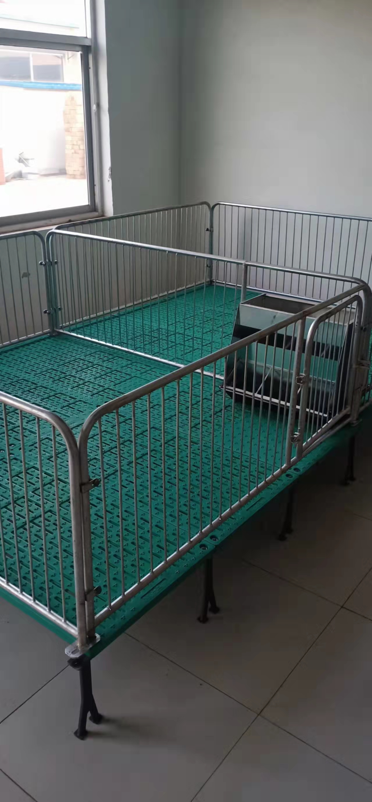 豬保育床圖片/豬保育床樣板圖 (2)