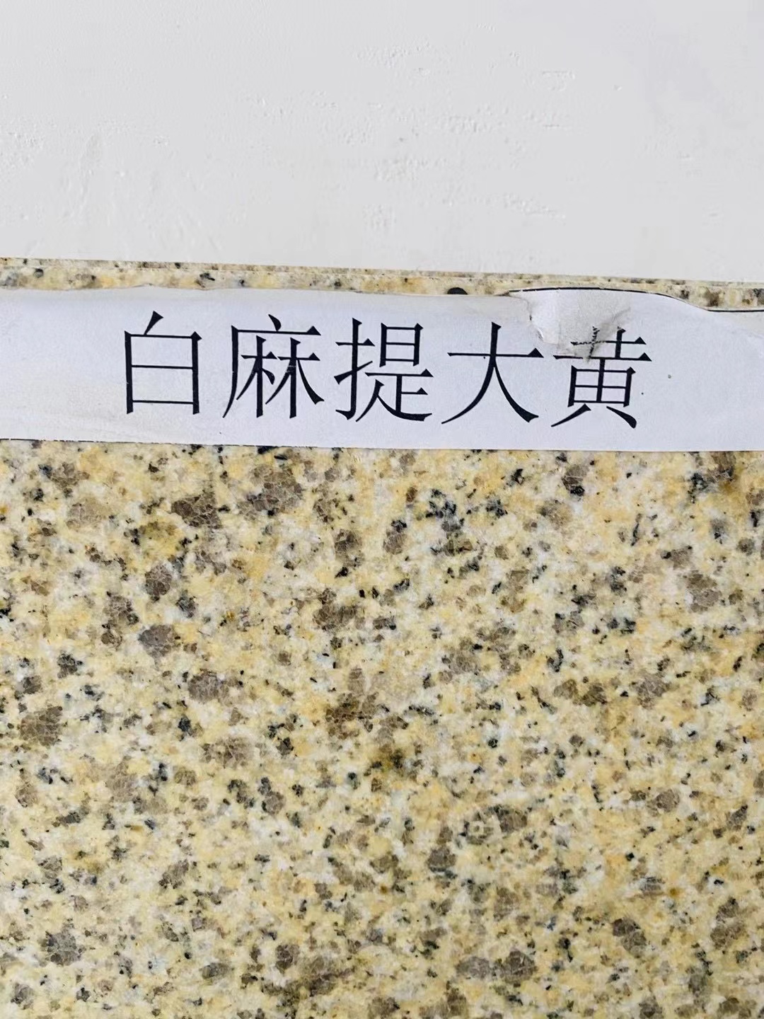 白麻提大黃圖片/白麻提大黃樣板圖 (2)