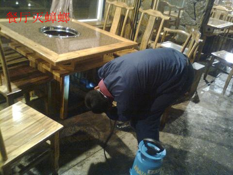 廣州室內消毒殺蟲圖片/廣州室內消毒殺蟲樣板圖 (2)