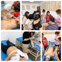 針灸推拿圖片/針灸推拿樣板圖 (2)