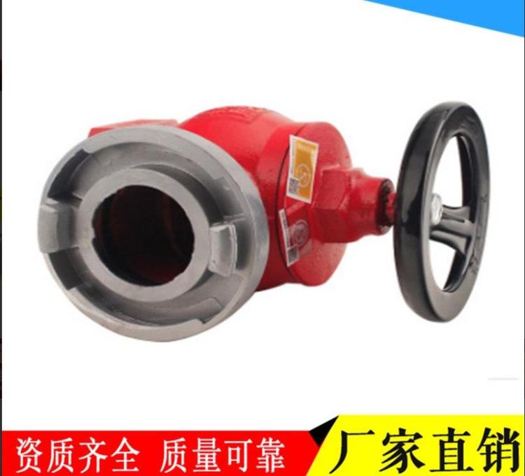 雙閥消火栓圖片/雙閥消火栓樣板圖 (4)