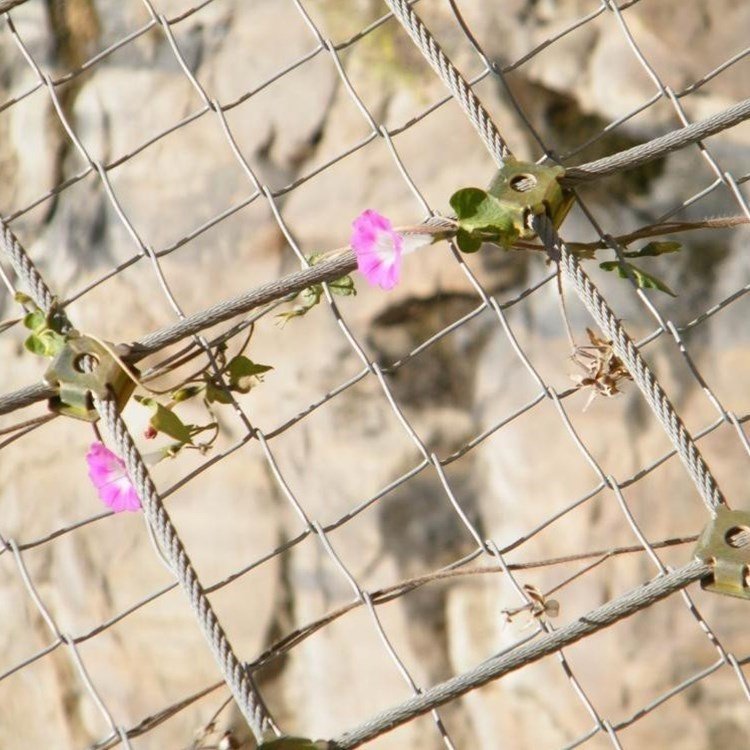 邊坡防護(hù)網(wǎng)圖片/邊坡防護(hù)網(wǎng)樣板圖 (1)