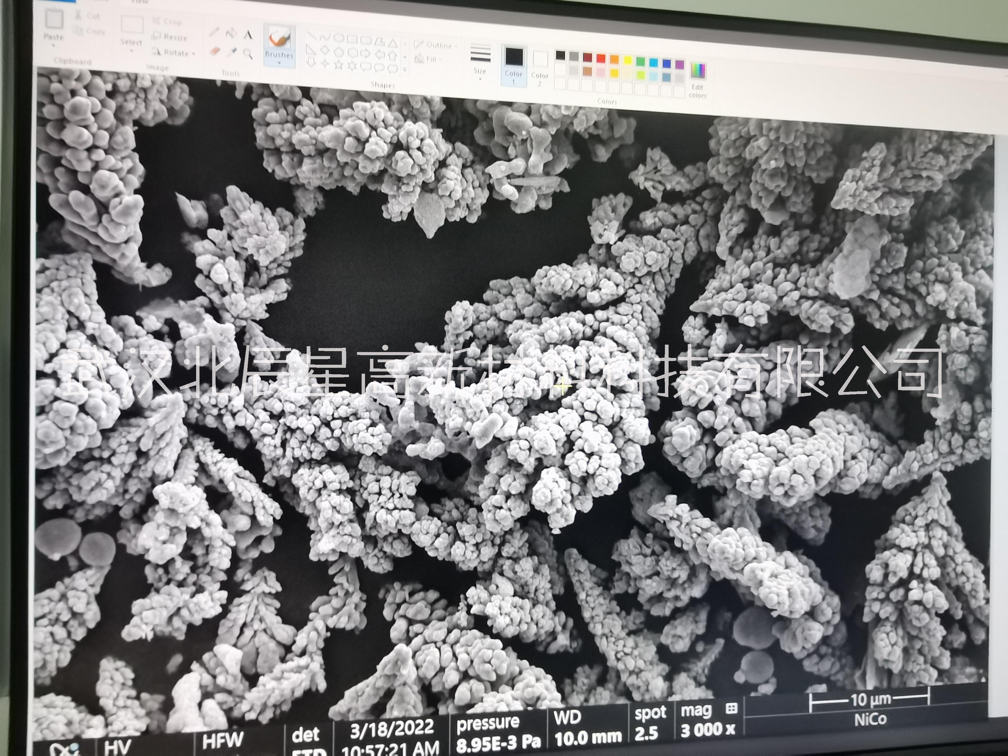 片状镍粉 树枝状镍粉