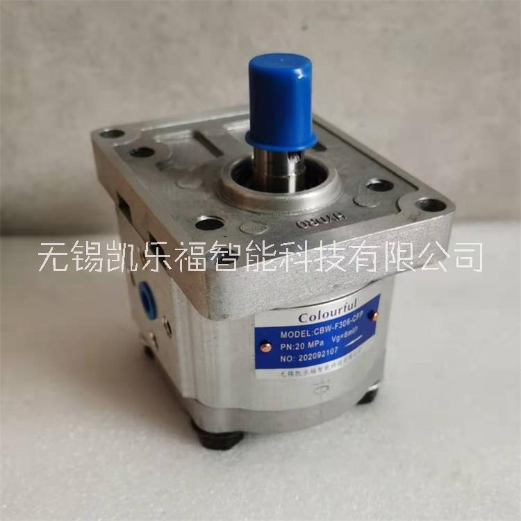 齒輪泵CBW-F310-CLP圖片/齒輪泵CBW-F310-CLP樣板圖 (4)