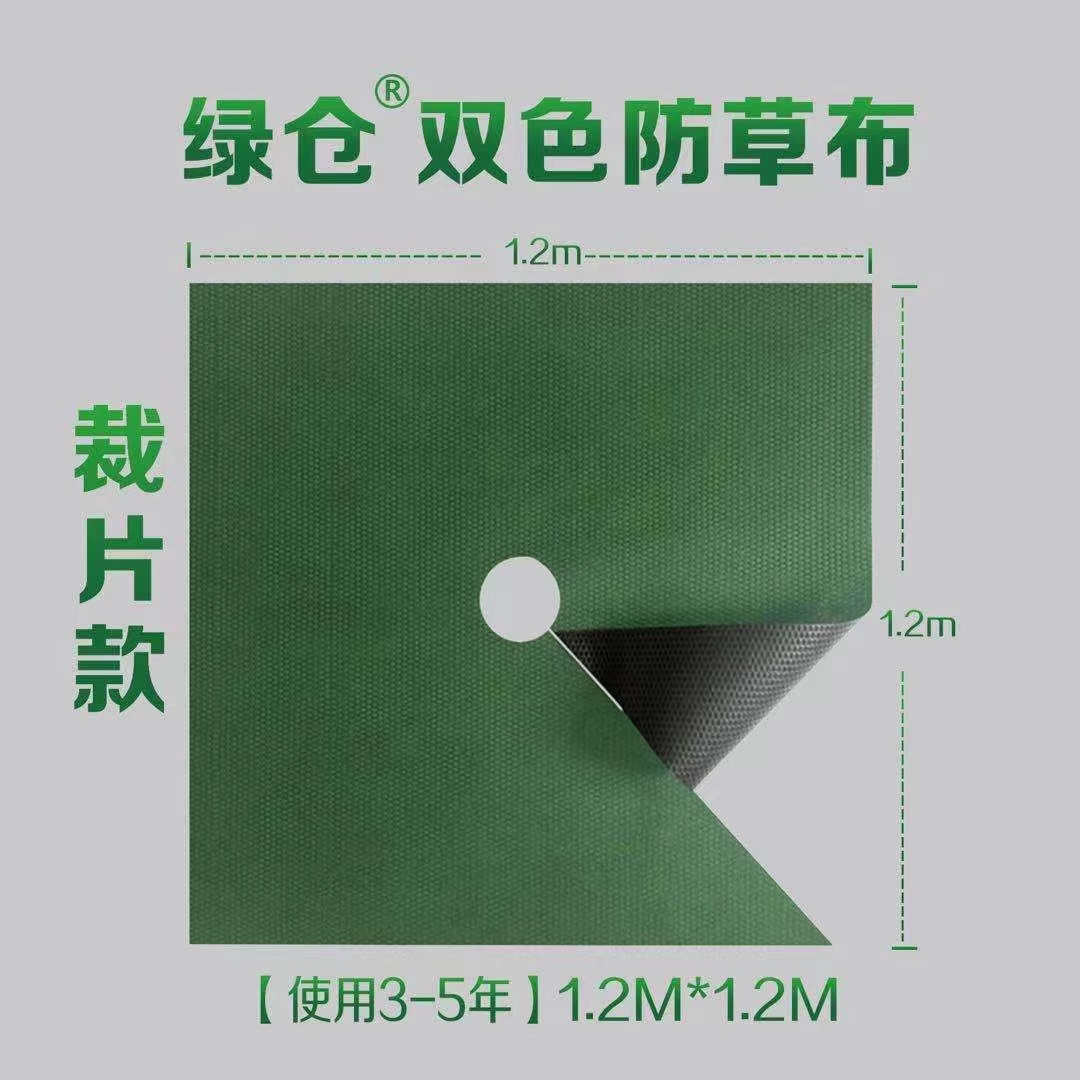 可降解圖片/可降解樣板圖 (2)