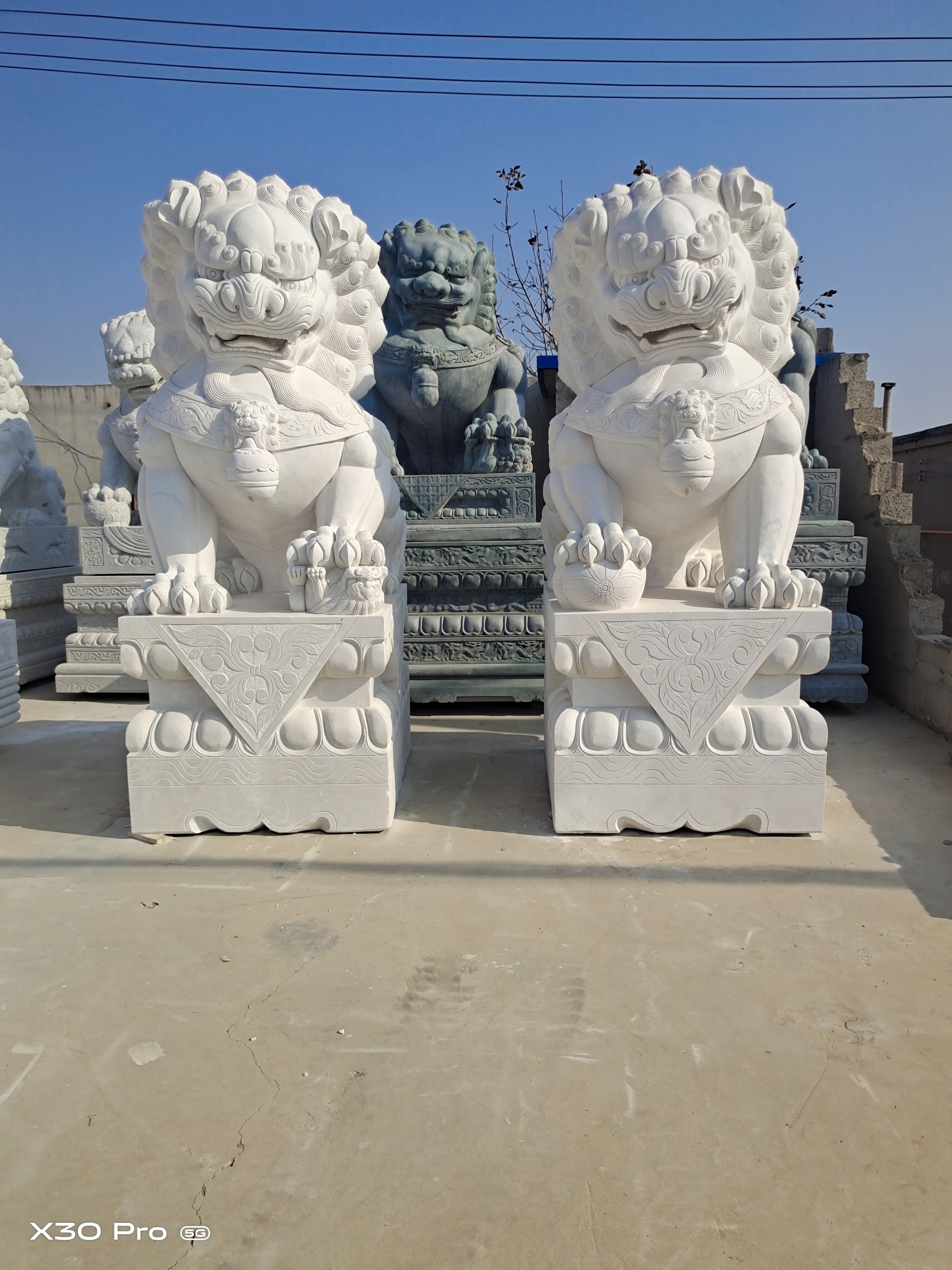 石獅子圖片/石獅子樣板圖 (1)