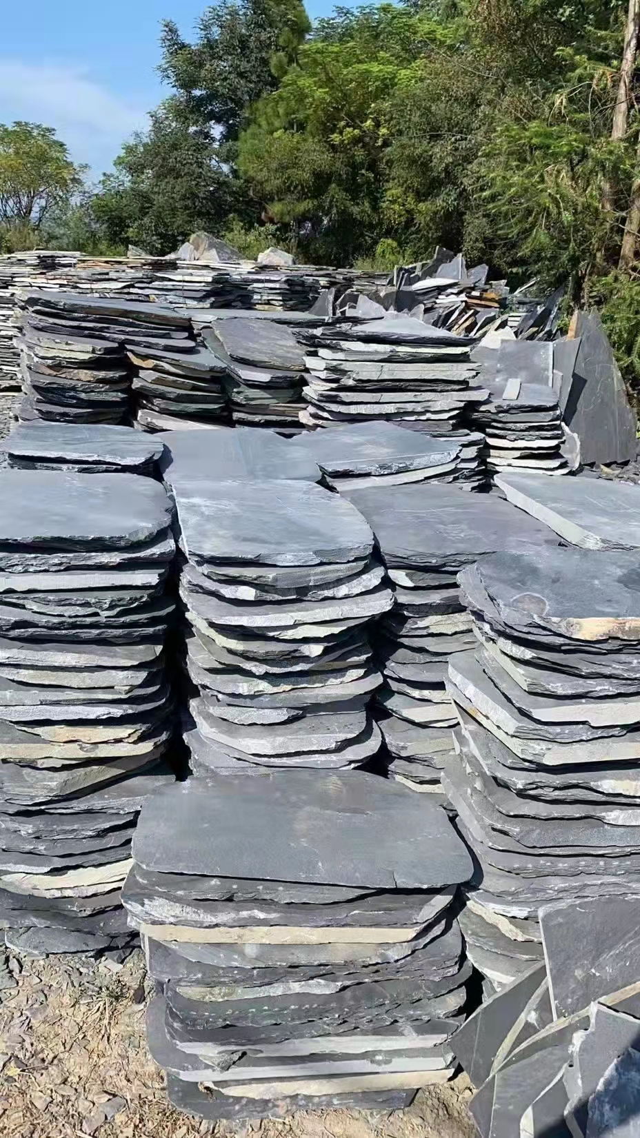 踏步石圖片/踏步石樣板圖 (3)