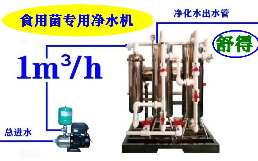 食用菌培育井水过滤器河水过滤净水器全程使用净化水无菌水培育图片