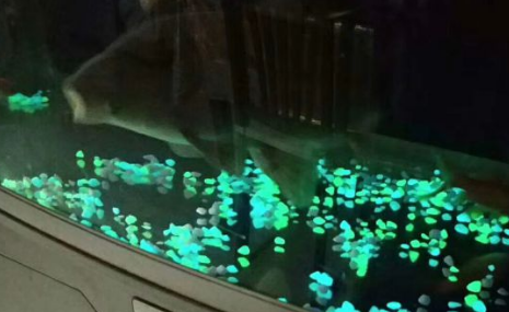 夜光石頭圖片/夜光石頭樣板圖 (2)