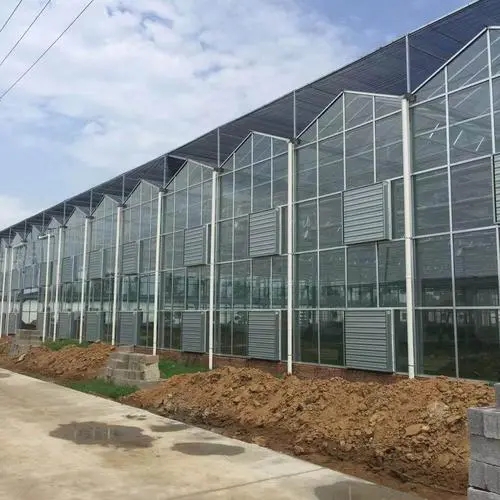 玻璃溫室圖片/玻璃溫室樣板圖 (4)