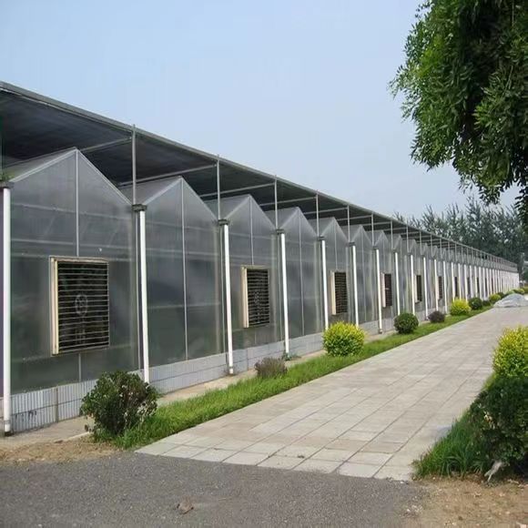 陽(yáng)光板溫室圖片/陽(yáng)光板溫室樣板圖 (2)