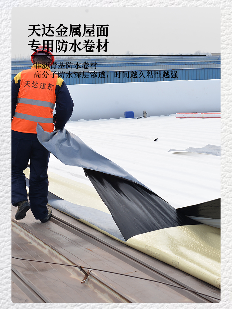 高分子自粘TPO防水卷材圖片/高分子自粘TPO防水卷材樣板圖 (3)