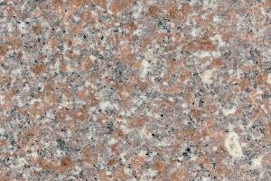 五蓮紅圖片/五蓮紅樣板圖 (4)