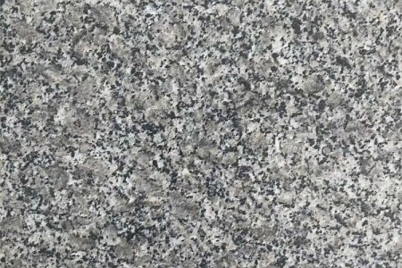 山東芝麻圖片/山東芝麻樣板圖 (3)