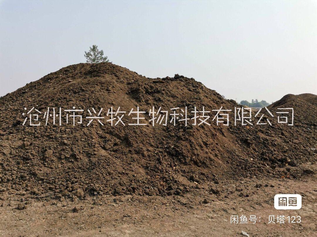 天津有機肥