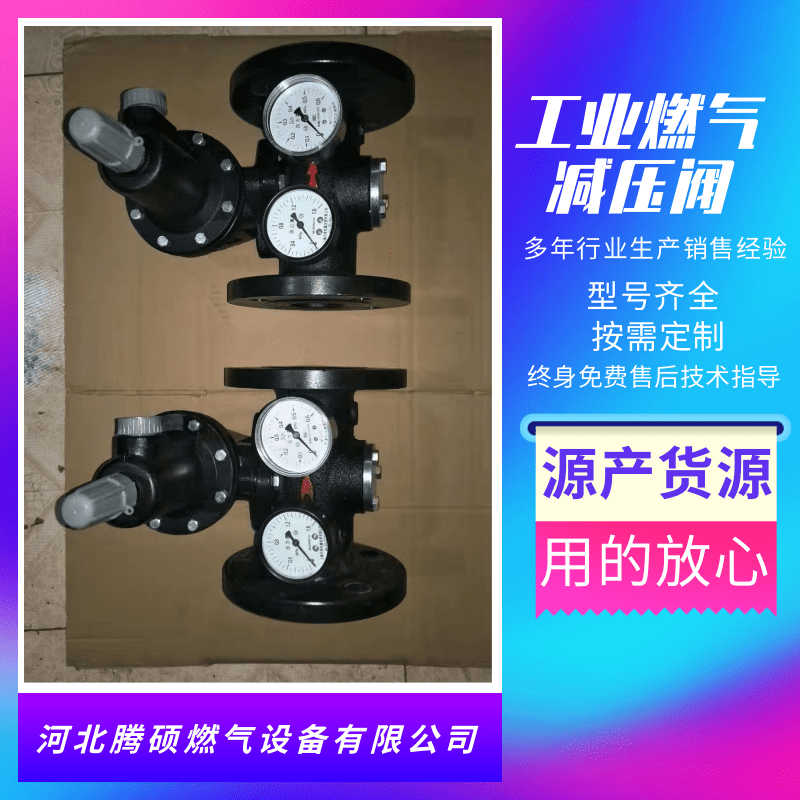 燃?xì)鉁p壓閥圖片/燃?xì)鉁p壓閥樣板圖 (4)