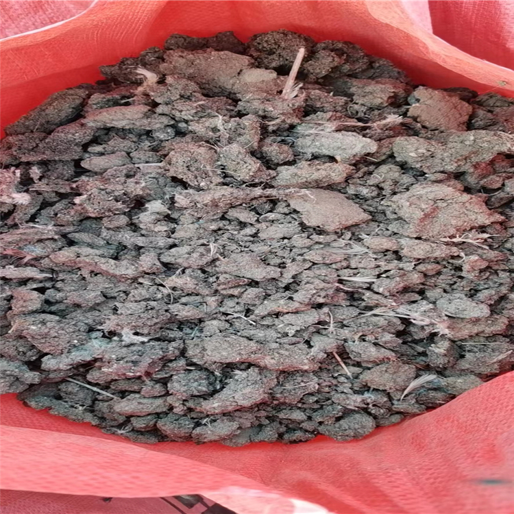 曬干雞糞圖片/曬干雞糞樣板圖 (2)